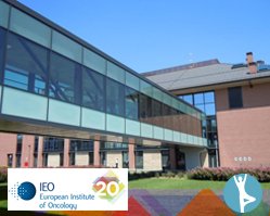 Slider image (2) Istituto Europeo di Oncologia IEO